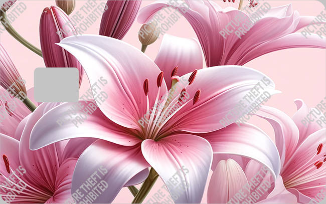 Bank  Card Sticker-BC-2235